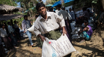 FAO and Japan helping to rebuild livelihoods and ensure greater food security in Rakhine State, Myanmar
